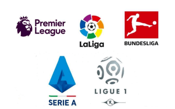 中的大心脏 中的大心脏