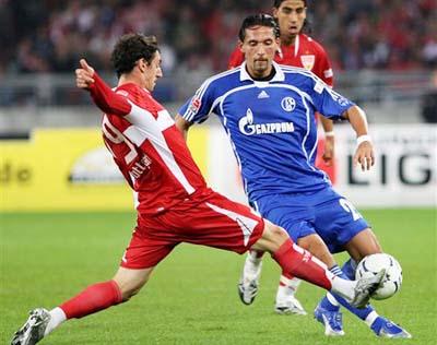 促使其本土 促使其本土